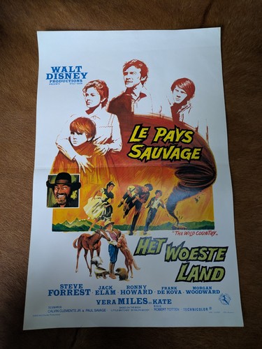 Vintage 1970 walt disney the - vintage,
